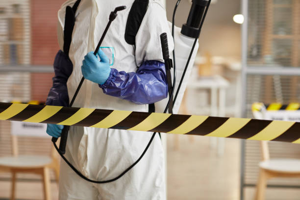 Professional Sewage Cleanup technician working in New Smyrna Beach, FL